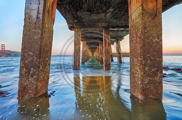 Under the Pier