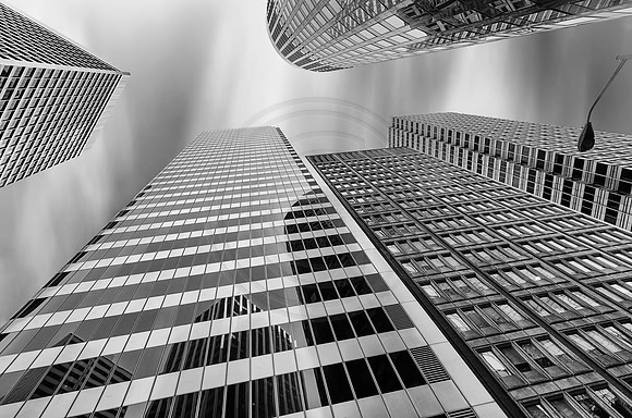 Monochrome Downtown: San Francisco
