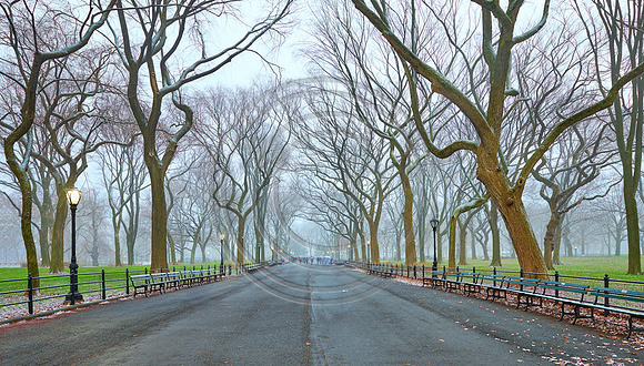 Light Snow at Central Park, New York City