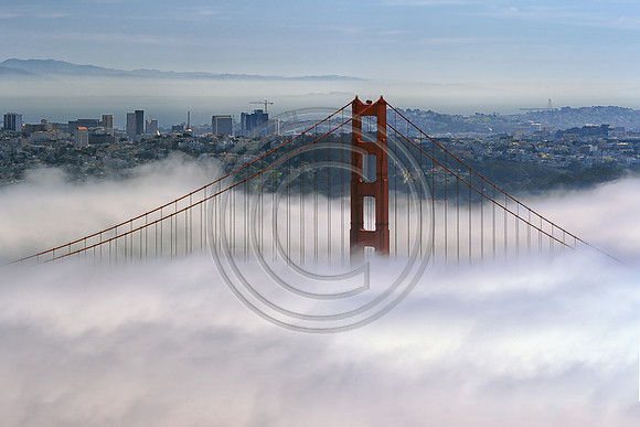 Fog at the Bridge